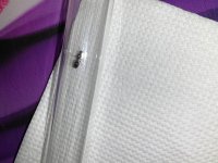 IMG_0441.jpeg