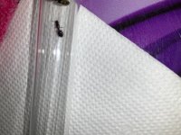 IMG_0432.jpeg