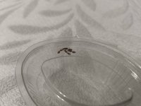 IMG_20250707_211136.jpg