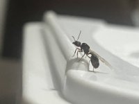 IMG_3030.jpeg