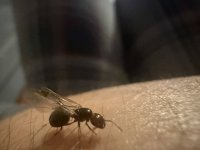IMG_6688.jpeg