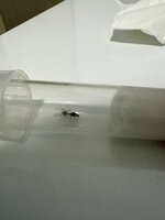 IMG_1528.jpeg
