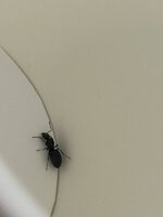 IMG_6792.jpeg