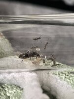 IMG_6444.jpeg