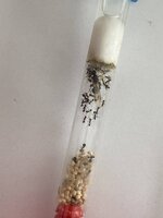 IMG_0574.jpeg
