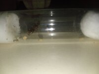 IMG_20200727_201314.jpg
