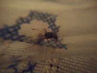 IMG_20200801_000352.jpg