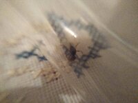 IMG_20200801_000352_1.jpg