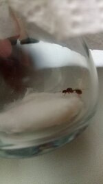IMG_20200805_135859.jpg