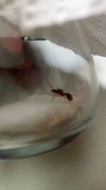 IMG_20200805_135906.jpg