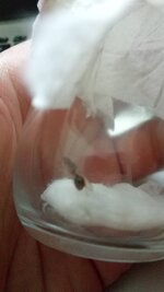 IMG_20200805_135937.jpg