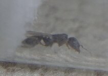 20200725_185331~01.jpg