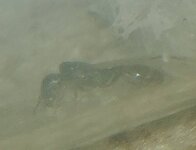 20200725_185036~01.jpg