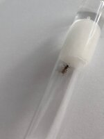 20200821_072103.jpg