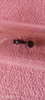 IMG_20201009_115636.jpg