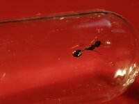 IMG_20201014_154652.jpg