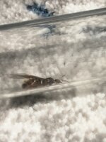 IMG_20210524_112738.jpg