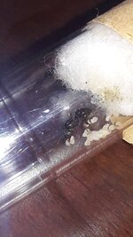 20210707_083451.jpg