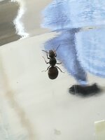 IMG_20210707_132448.jpg