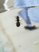 IMG_20210707_132442.jpg