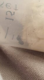 20210711_183024.jpg