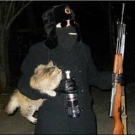 karamazov