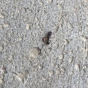 C3049CEA-8C3A-41AD-9446-FCDC0454ECF3.jpeg