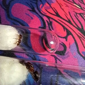 20220604_212744.jpg