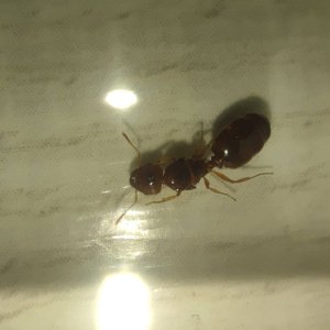 IMG_20250326_201247.jpg
