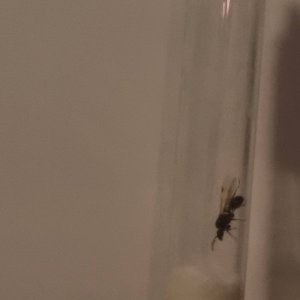 20250327_162715.jpg