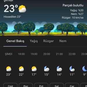 Screenshot_20250329_174023_Google.jpg
