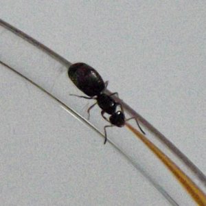 DSCF3265.JPG