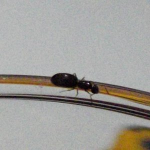DSCF3266.JPG