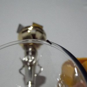 DSCF3263.JPG