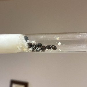 IMG-20250403-WA0006.jpg