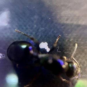 IMG_1786.jpeg