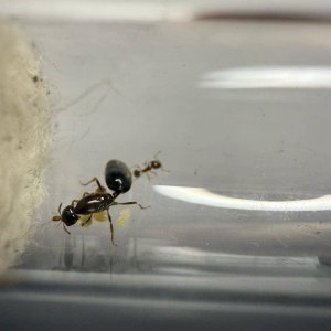 IMG-20250411-WA0022.jpg