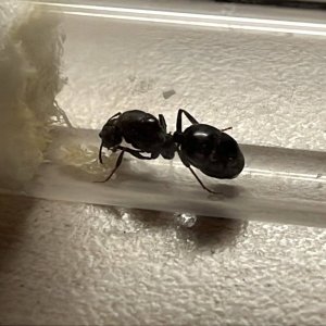 IMG_8806.jpeg