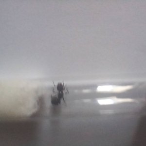 20250420_151543.jpg