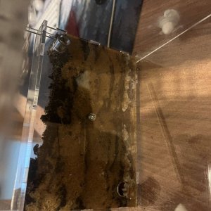 IMG_1841.jpeg