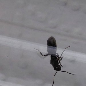 beec1e4e-1c5d-44bb-abbf-d7222db82d78.jpg