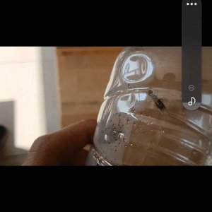 Screenshot_20250604_160222_Video Player.jpg