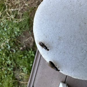 IMG_0825.jpeg