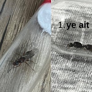 Bir başlık ekleyin.jpg
