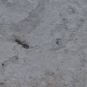 20250620_091014.jpg