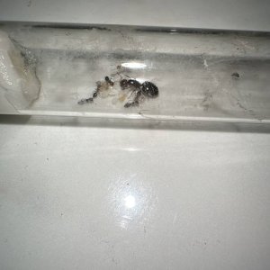IMG_1221.jpeg