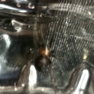 IMG_9739.jpeg