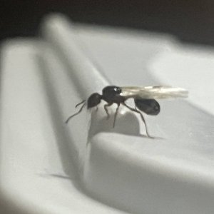 IMG_3031.jpeg