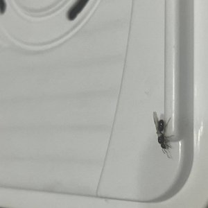 IMG_3026.jpeg