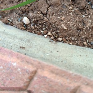 IMG_20250927_102905.jpg